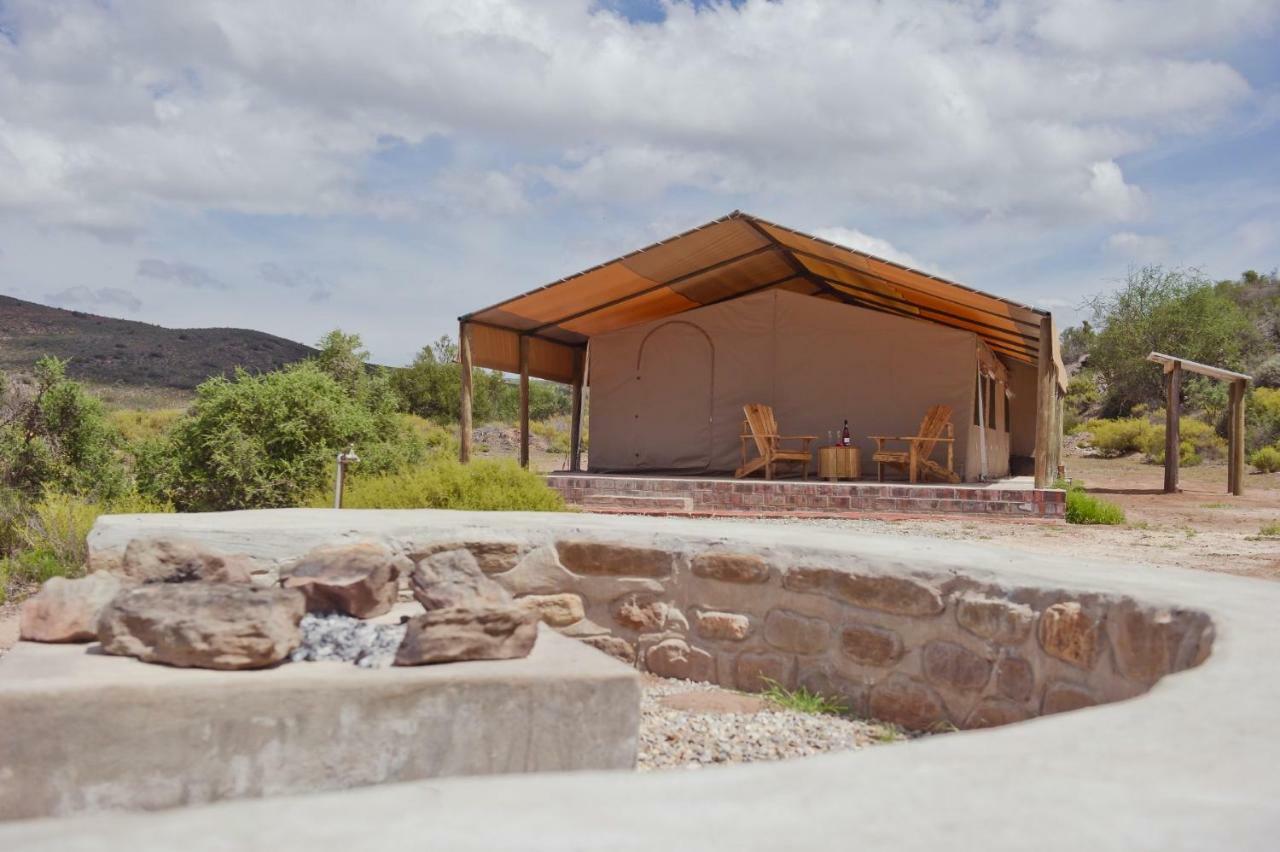 African Game Lodge Montagu Kültér fotó